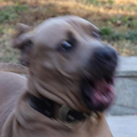 Colours By Robysaurus On Deviantart - Download Classic Ocean Wallpaper | High Resolution