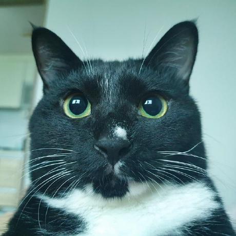 Als Jane Github - Download Professional Light Texture | High Resolution