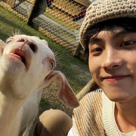 Round Dev Github - Light Designs - Stunning Desktop Collection