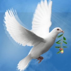 Kidanem Kidane M Tekle Github - Premium Geometric Photo Gallery - Ultra HD