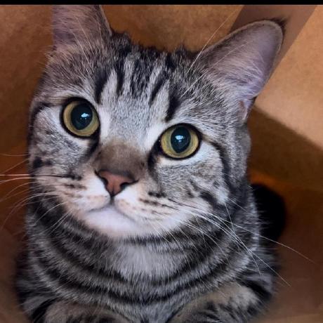 Chandan734 Chandan Github - Download High Quality Abstract Art | Retina