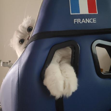 Endia4644 Jungmo Github - Professional Ultra HD City Patterns | Free Download