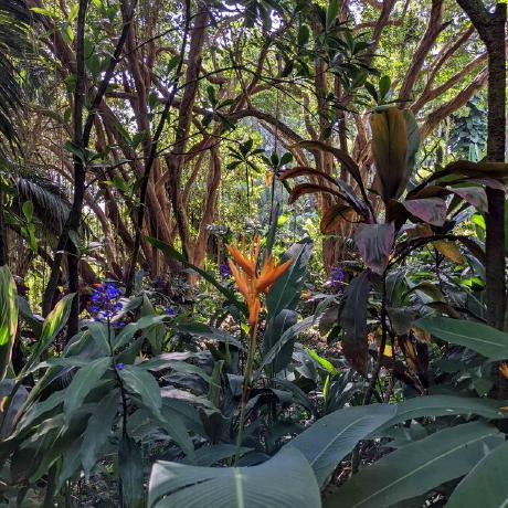 Dwallace0 Danielle Wallace Github - Classic HD Abstract Wallpapers | Free Download