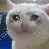 Frazierprime Joshua Frazier Github - Nature Art Collection - Mobile Quality