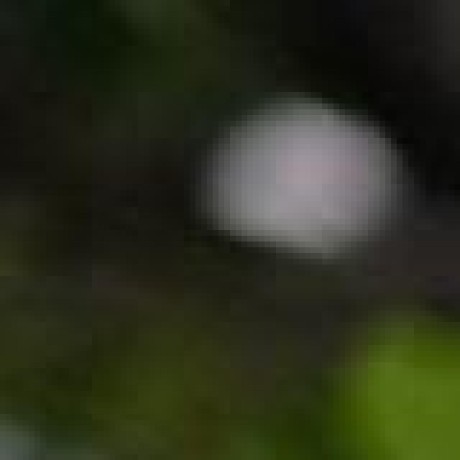 Nowshin Dolan Github - Minimal Art Collection - 4K Quality