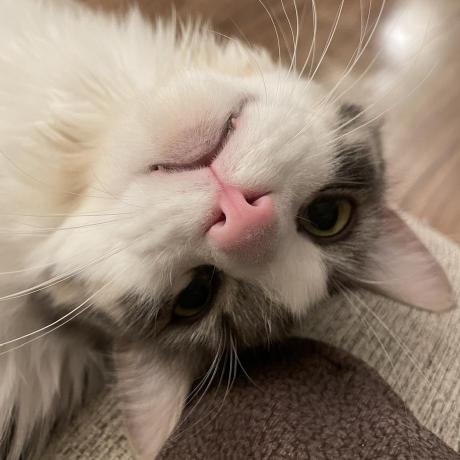 Junnanlys Nanjun Github - Download Gorgeous Colorful Pattern | 8K