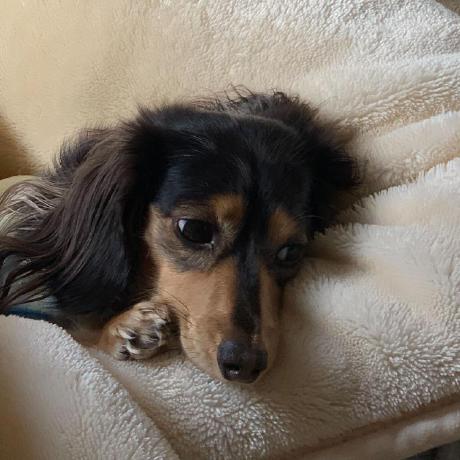 Takuma104 Takuma Mori Github - Download Creative Mountain Photo | High Resolution