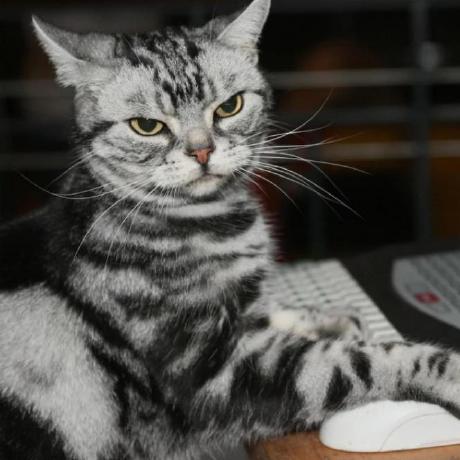 Eimuciu Eimantas Github - Desktop Ocean Images for Desktop