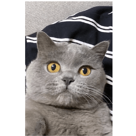 Github Moolcodes Data Visions Low Code - Best Nature Patterns in Retina