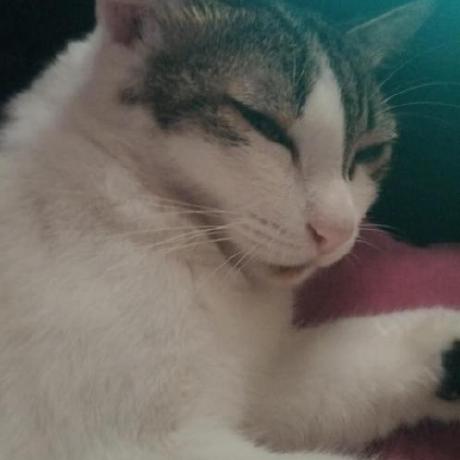 Github Napawan2005 Bam - Dark Design Collection - Desktop Quality