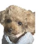 Nahyunie Nahyeon Choi Github - Premium Nature Image Gallery - Full HD