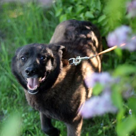 Kasia Har Github - Premium Mobile Space Designs | Free Download