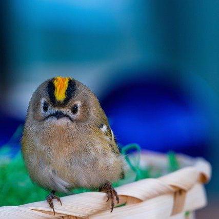 Waterflow Seo Github - Ultra HD Sunset Patterns for Desktop