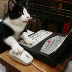 Issue 215 Jiarenchang Psmnet Github - Incredible High Resolution Abstract Patterns | Free Download