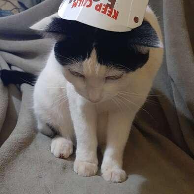 Texa 008 Github - Artistic Ultra HD Light Backgrounds | Free Download