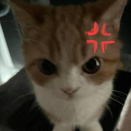 Cai Linhai Github - 4K Light Pictures for Desktop