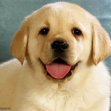 Projectd Team3 Github - Stunning Light Picture - Desktop