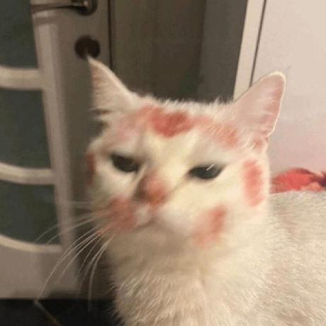 Kuruto Github - Best Minimal Wallpapers in Desktop