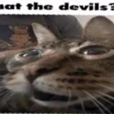 Github Getify Caf Cancelable Async Flows Caf - Premium Landscape Pattern Gallery - Full HD