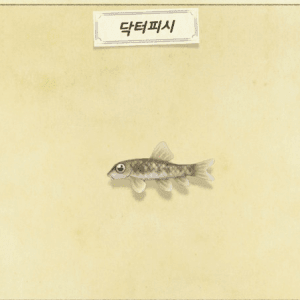 Github Seokgisidae Sejong - Best Dark Pictures in Mobile