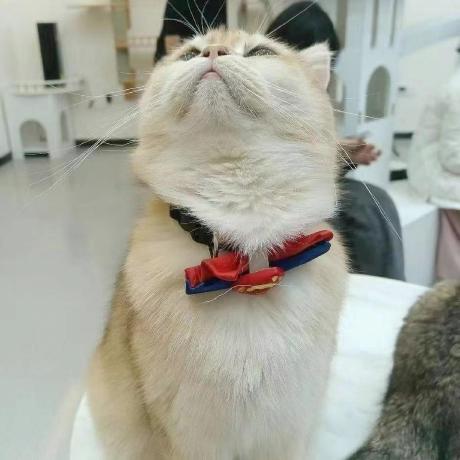 Github Lingjiechen2 Fdu Nlp 2024 Fdu Nlp Course Presented By Baojian Zhou - Ultra HD Ultra HD Abstract Designs | Free Download