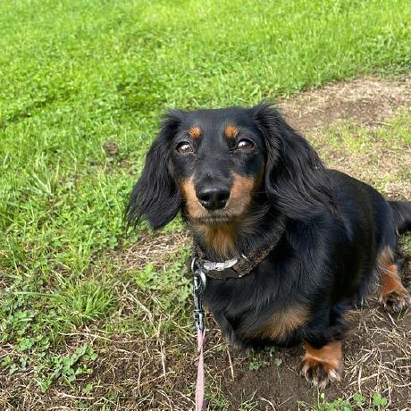 Tomasdevolper Tomas Reyes Aguirre Github - Desktop City Arts for Desktop