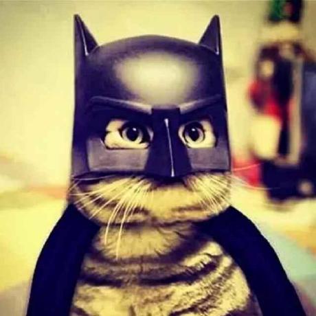 Github Lightapis Kugou Aum Synology Lrc Plugin Audio Station - Amazing Mobile Landscape Arts | Free Download