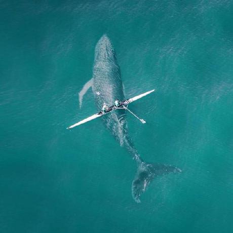 Ruiqingqiu Ruiqing Qiu Github - Premium HD Space Designs | Free Download