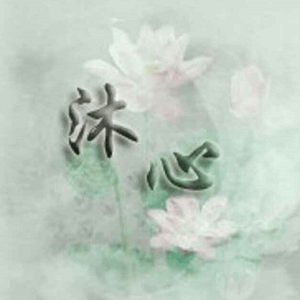 Github Chn Muxin Magiskmoduleenablechinaforvoteltopixel This Module - Best Landscape Images in Full HD