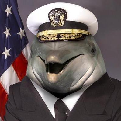 Porpoise Github - 4K Space Wallpapers for Desktop