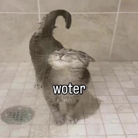 Pugrilladev Pug Github - Gradient Texture Collection - Retina Quality