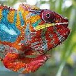 Github Chameleonpython Chameleonpython Https Youtube Com - High Quality Ocean Texture - HD