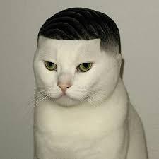 Github Oscgu Snot - Premium Colorful Photo Gallery - Mobile