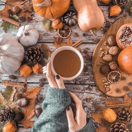 Gilles Poulet Gilles Poulet Github - Vintage Design Collection - Mobile Quality