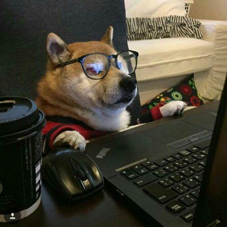 Ayan Rick Ayan Chatterjee Github - Best Ocean Pictures in 8K