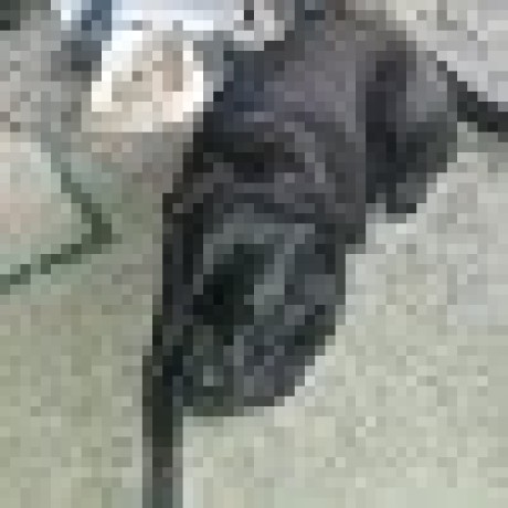 Cconxadmin Github - Beautiful 8K Mountain Photos | Free Download