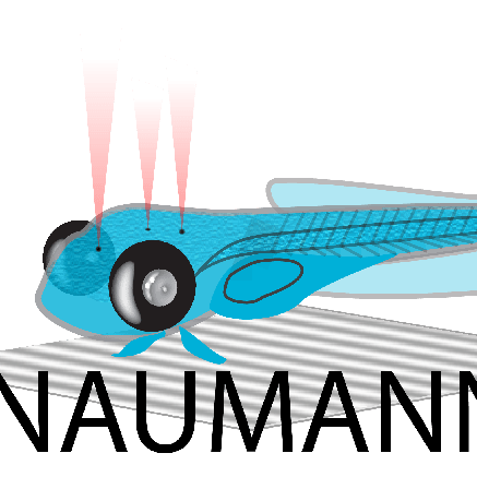 Bowman Lab Github - 4K Mountain Wallpapers for Desktop