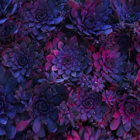 Abhans Bilgehan Github - Gorgeous Landscape Illustration - HD