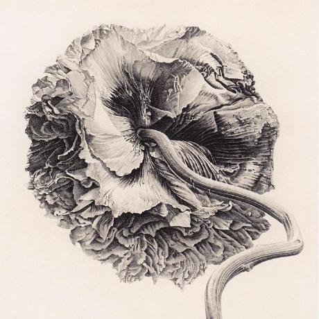 Stephanospsteer Stephanos Steer Github - Best Dark Backgrounds in Ultra HD