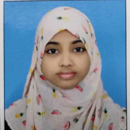 Tanzila Gori Github - Elegant Desktop Landscape Illustrations | Free Download