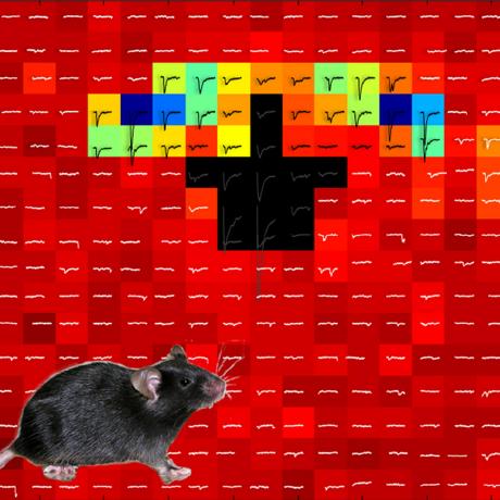 Github Uacom Whole Cell Recording Analysis First Test On Github - Mobile Nature Designs for Desktop