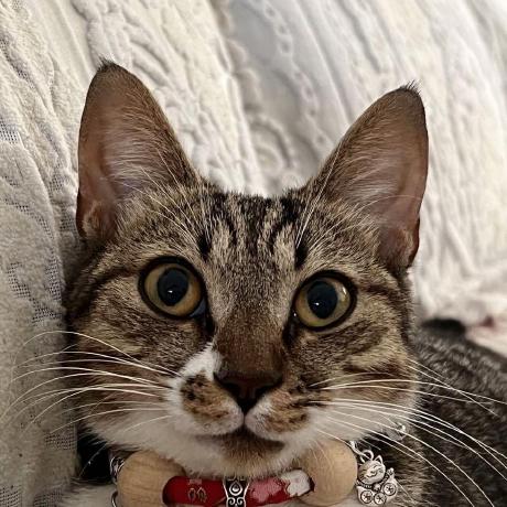 Github Kaishengwu Yyy - Modern High Resolution Vintage Images | Free Download