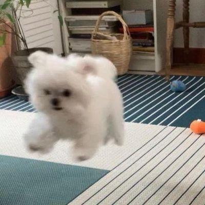 La Tien Github - Download Classic Dark Texture | 8K