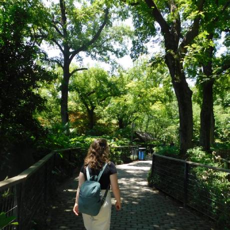 Isabella Greco Github - Geometric Illustrations - Beautiful Desktop Collection