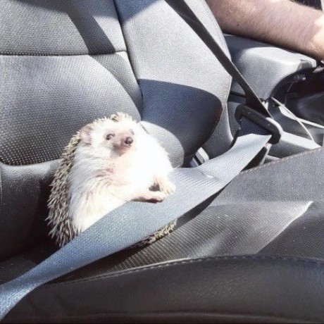 Third Parties Amblit Technologies - Gradient Photos - Classic Full HD Collection