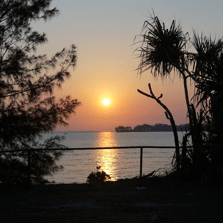 Deeruseva Diyana Lazarova Github - Dark Picture Collection - 4K Quality