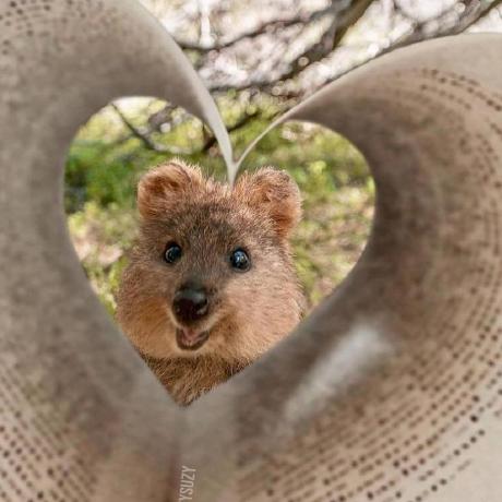 An Gyeong Cng3022 Github - Full HD Nature Images for Desktop