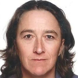 Sarahk Sarah Github - Elegant 4K Landscape Illustrations | Free Download