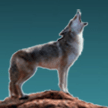 Github Idl Coyote Coyote The Coyote Library Evolved From Work David - High Quality Abstract Background - Full HD