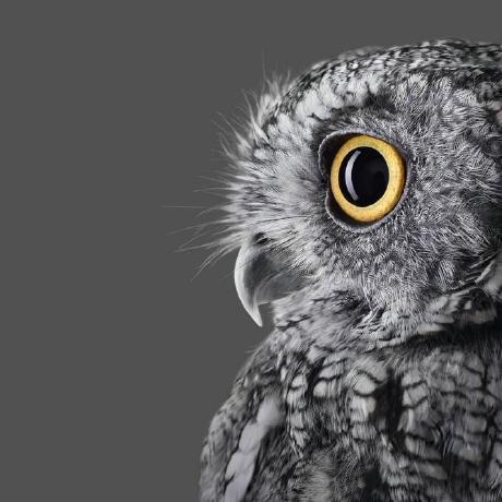 Andyvroberts Andy Roberts Github - Stunning Retina Dark Backgrounds | Free Download